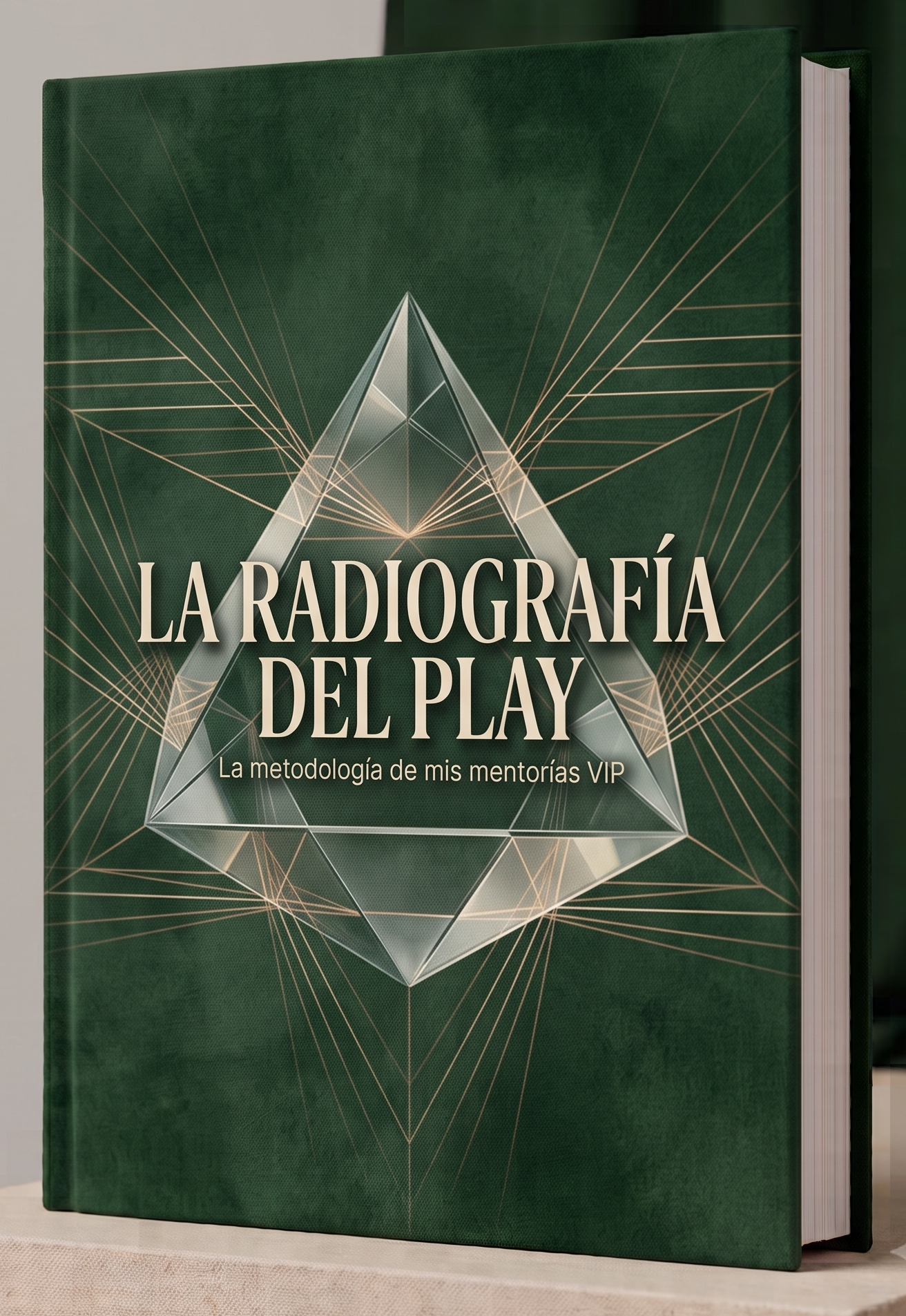 La metodología de mis mentorías VIP: Guia de PREGUNTAS y actividades para destrabar lo que no ves⭐